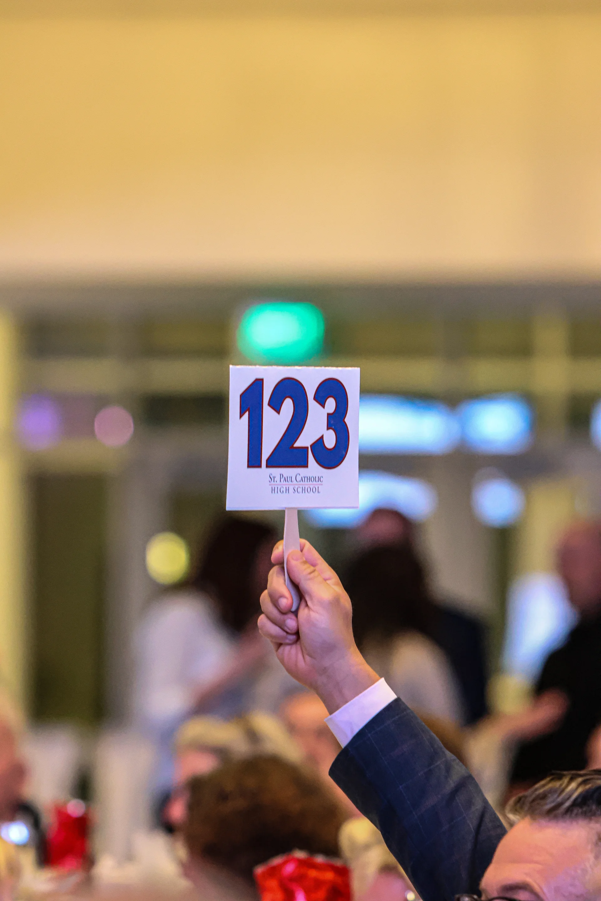 St Paul Gala Pictures 55153462994 O.webp